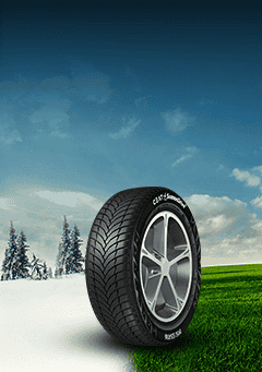 bannerimg