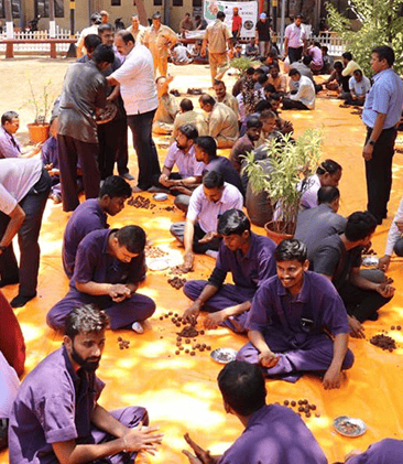 Material Development