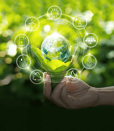 Material Development