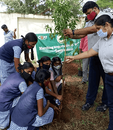 Material Development