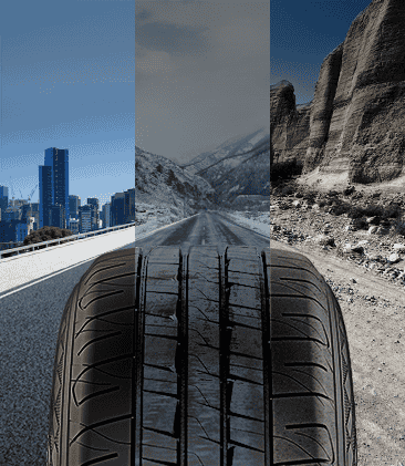 Material Development