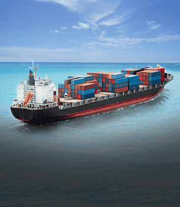 Material Development