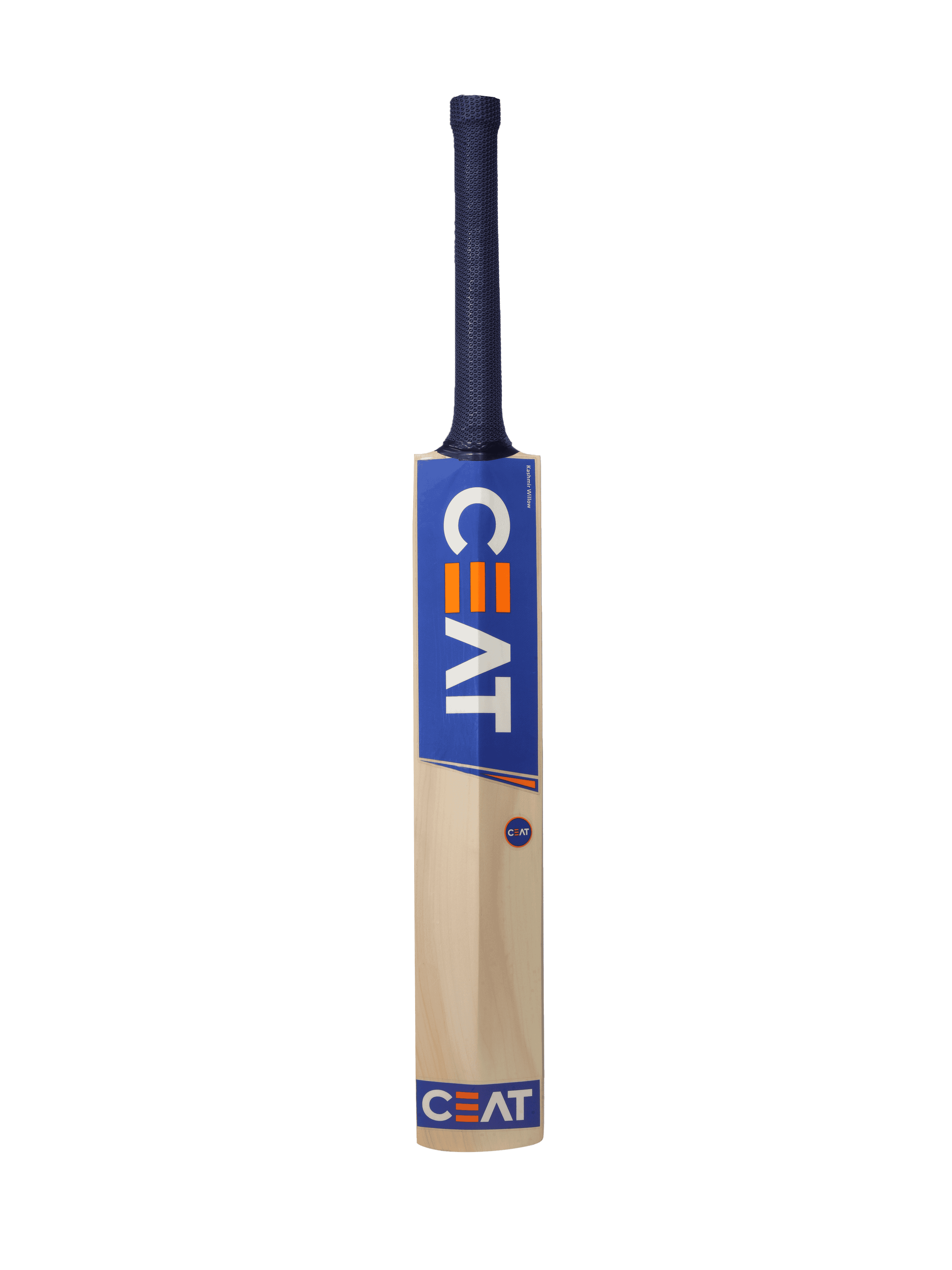 bat image
