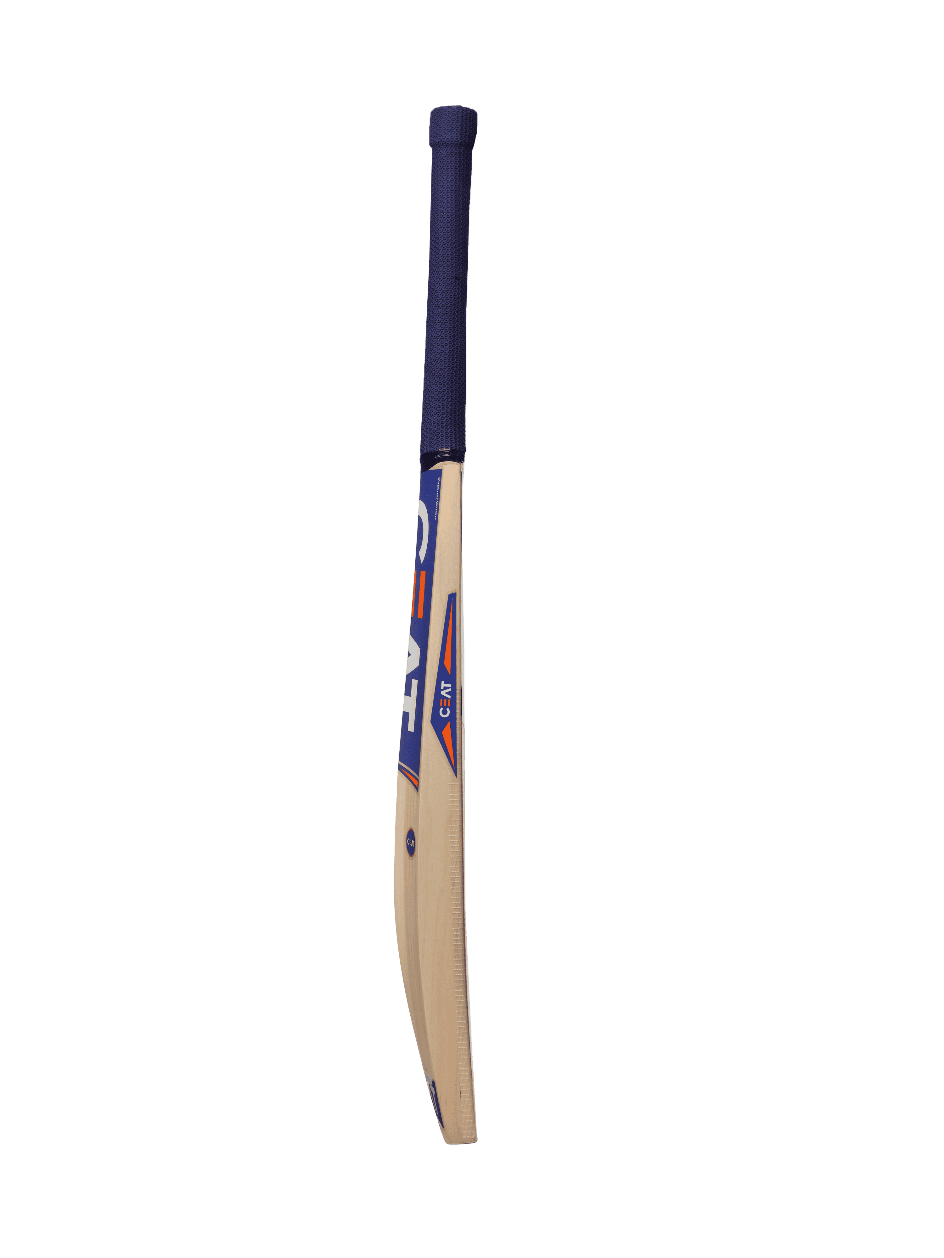bat image