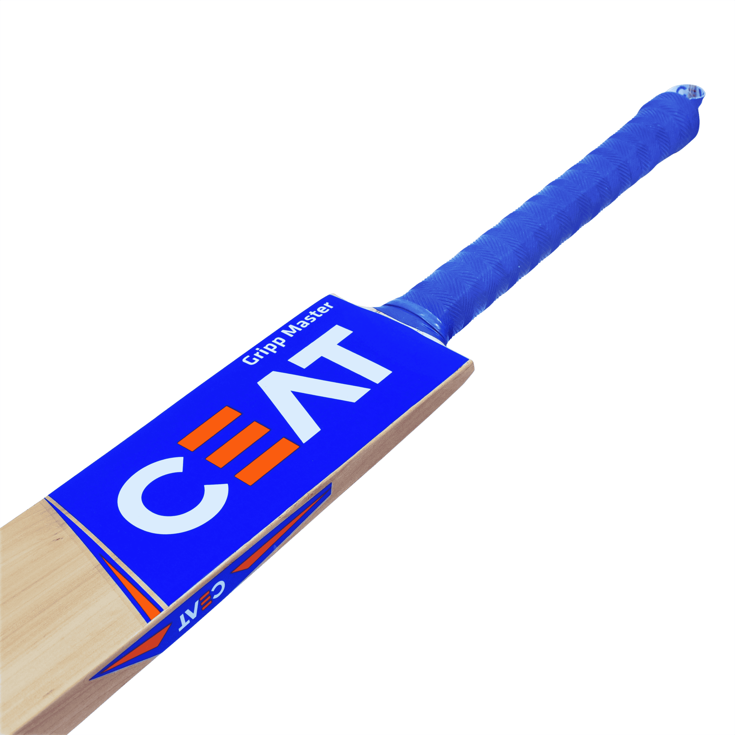 bat image