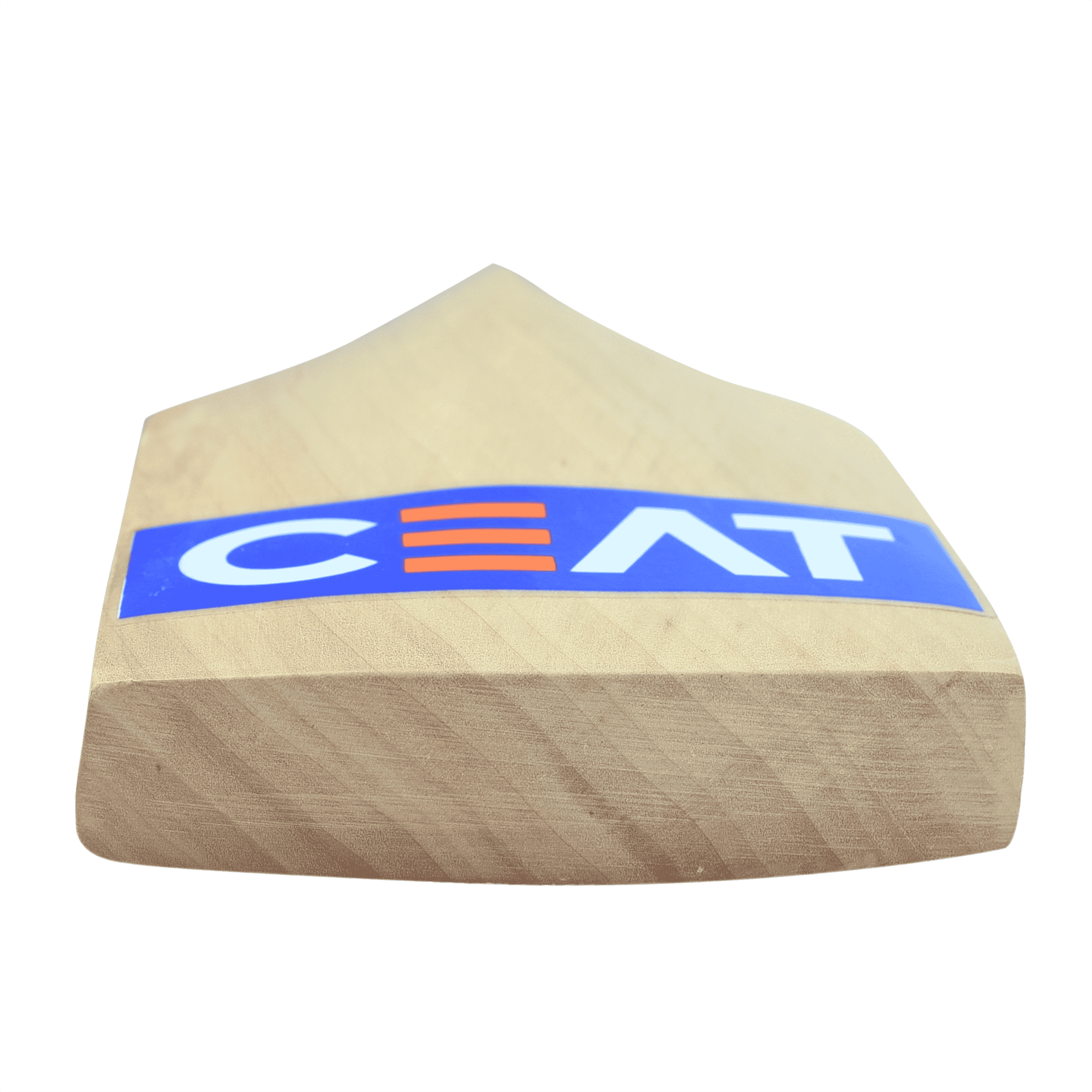 bat image