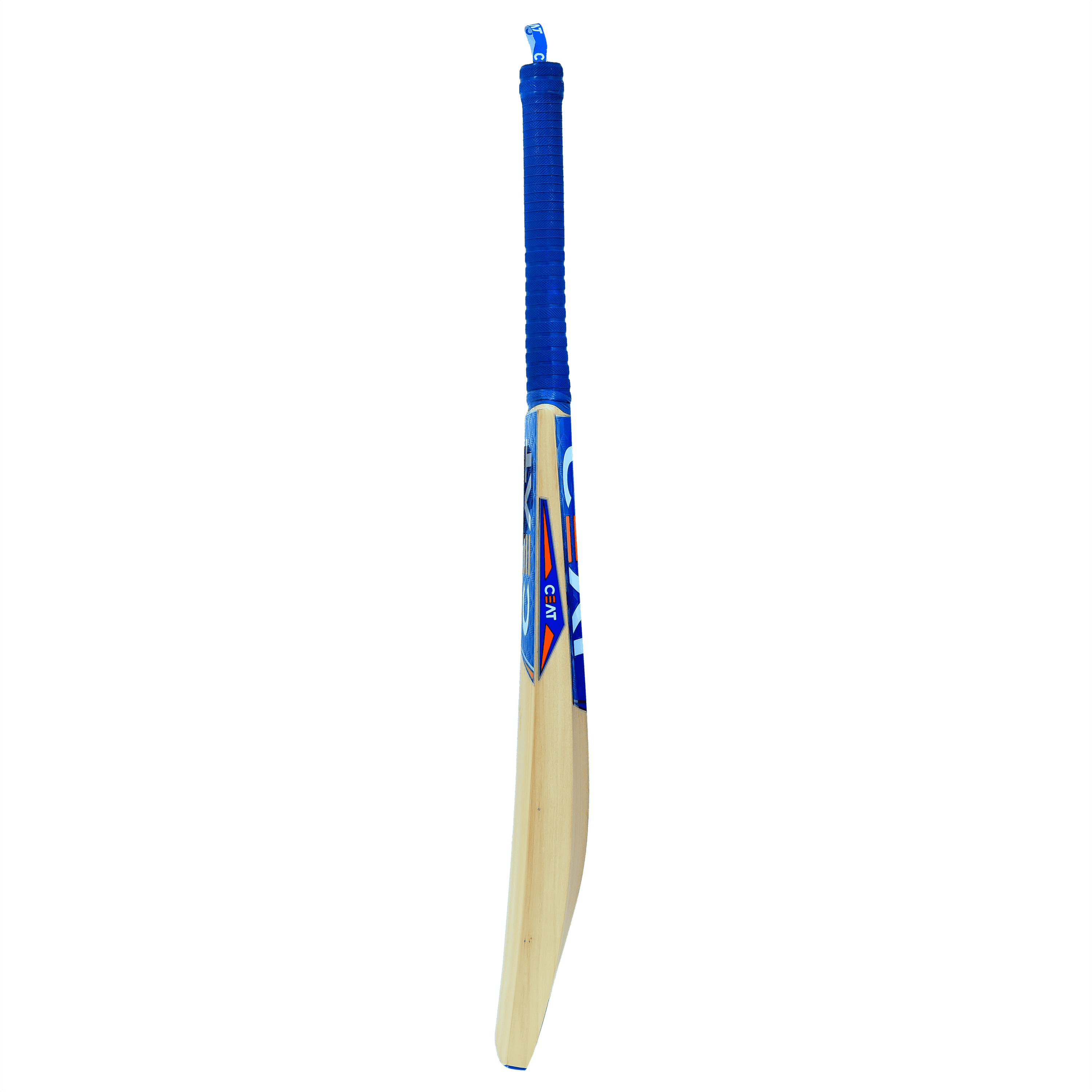 bat image