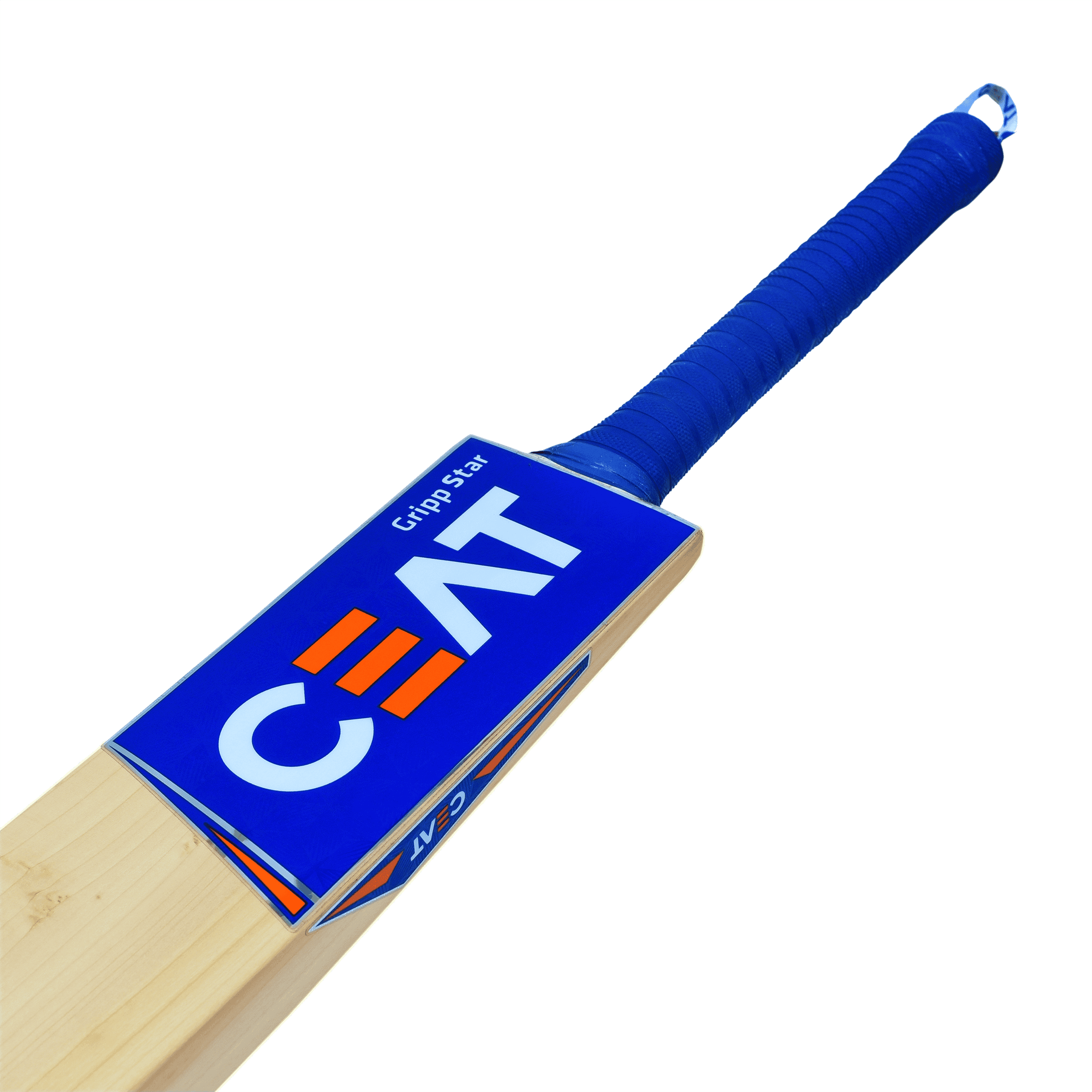 bat image