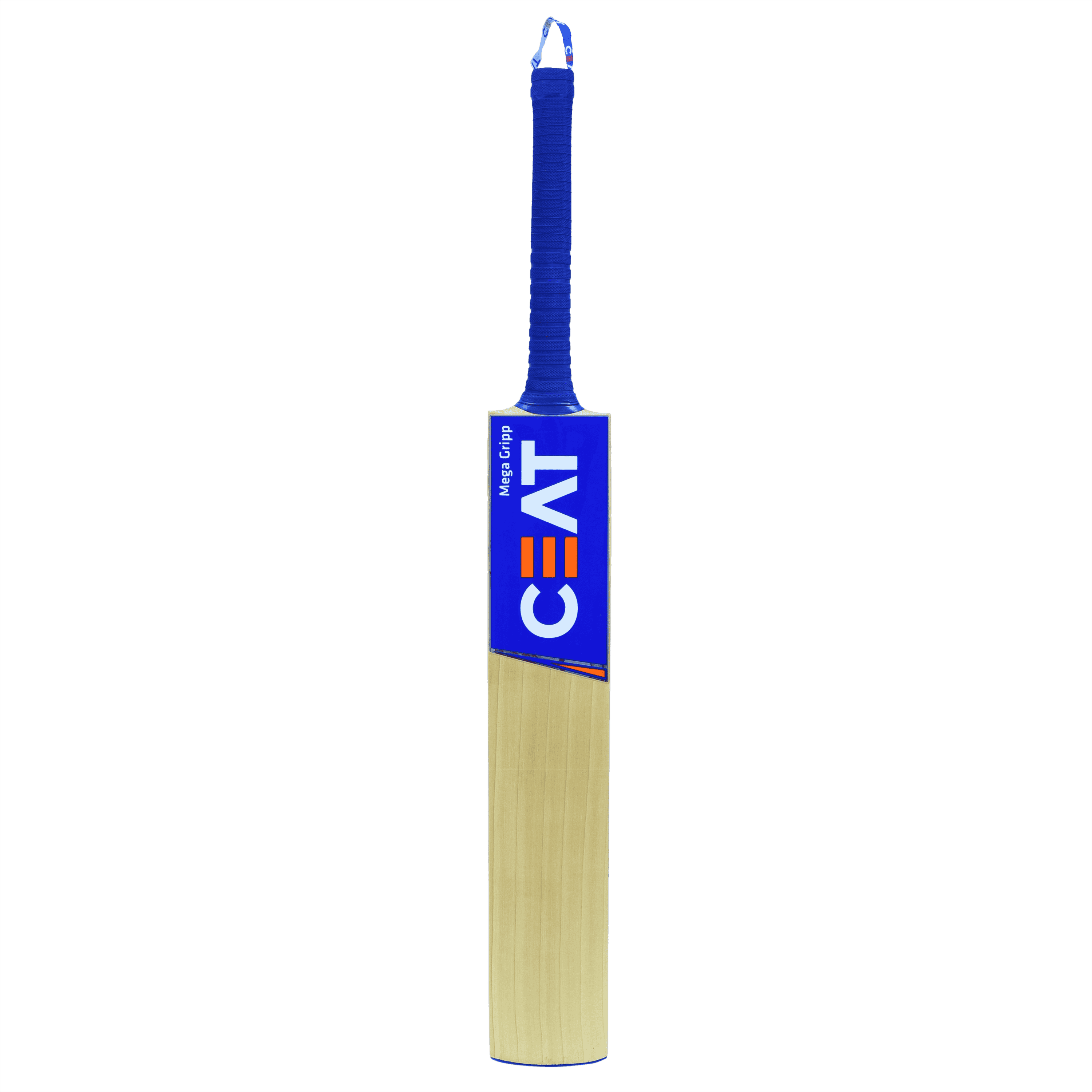 bat image