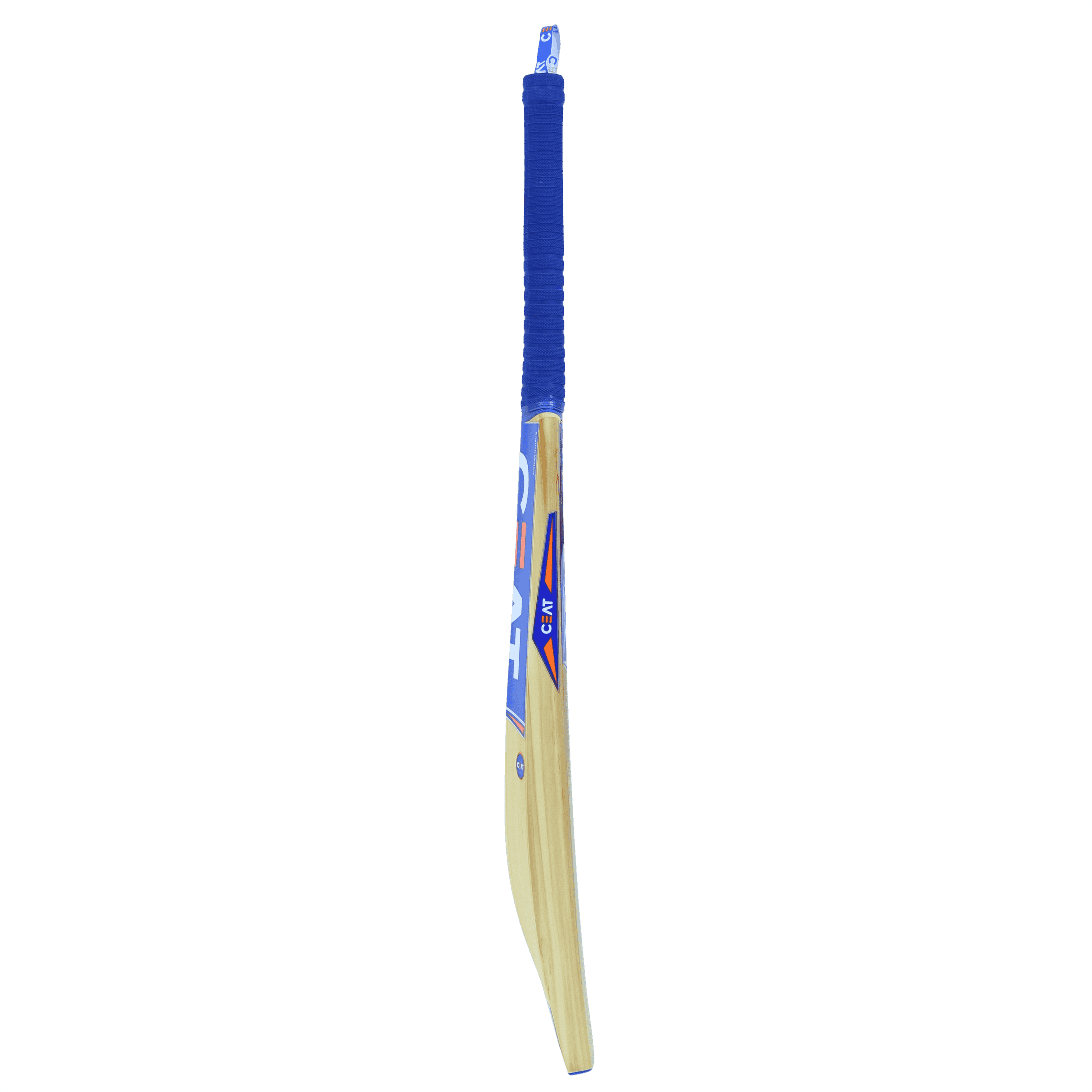 bat image