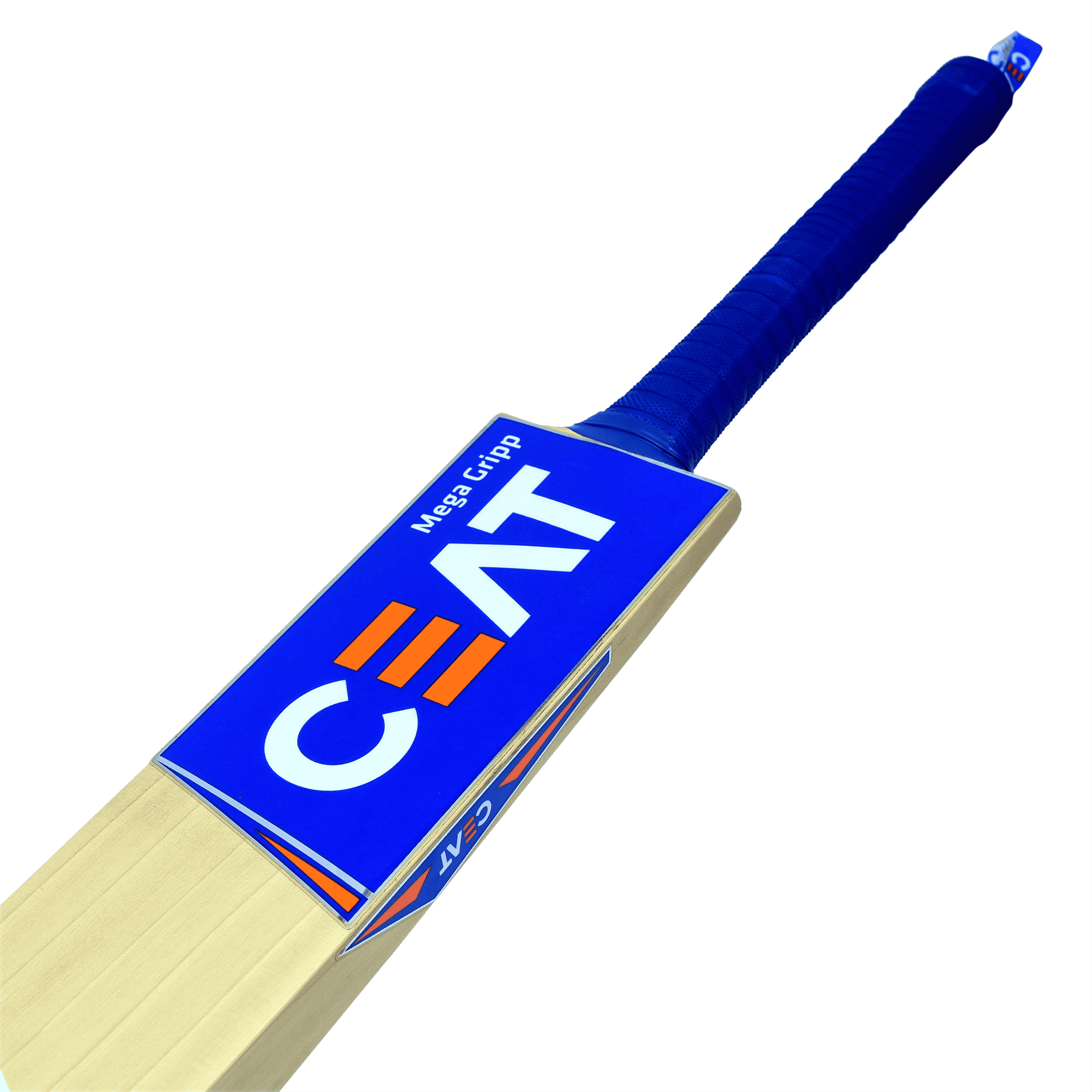 bat image