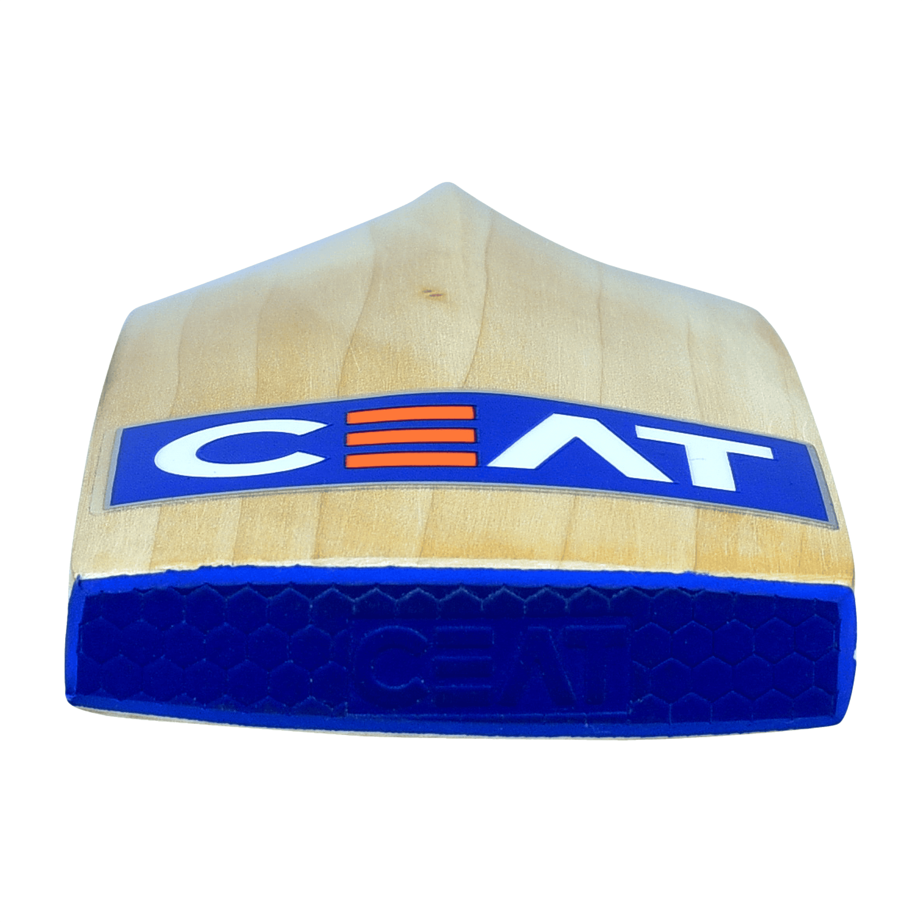 bat image