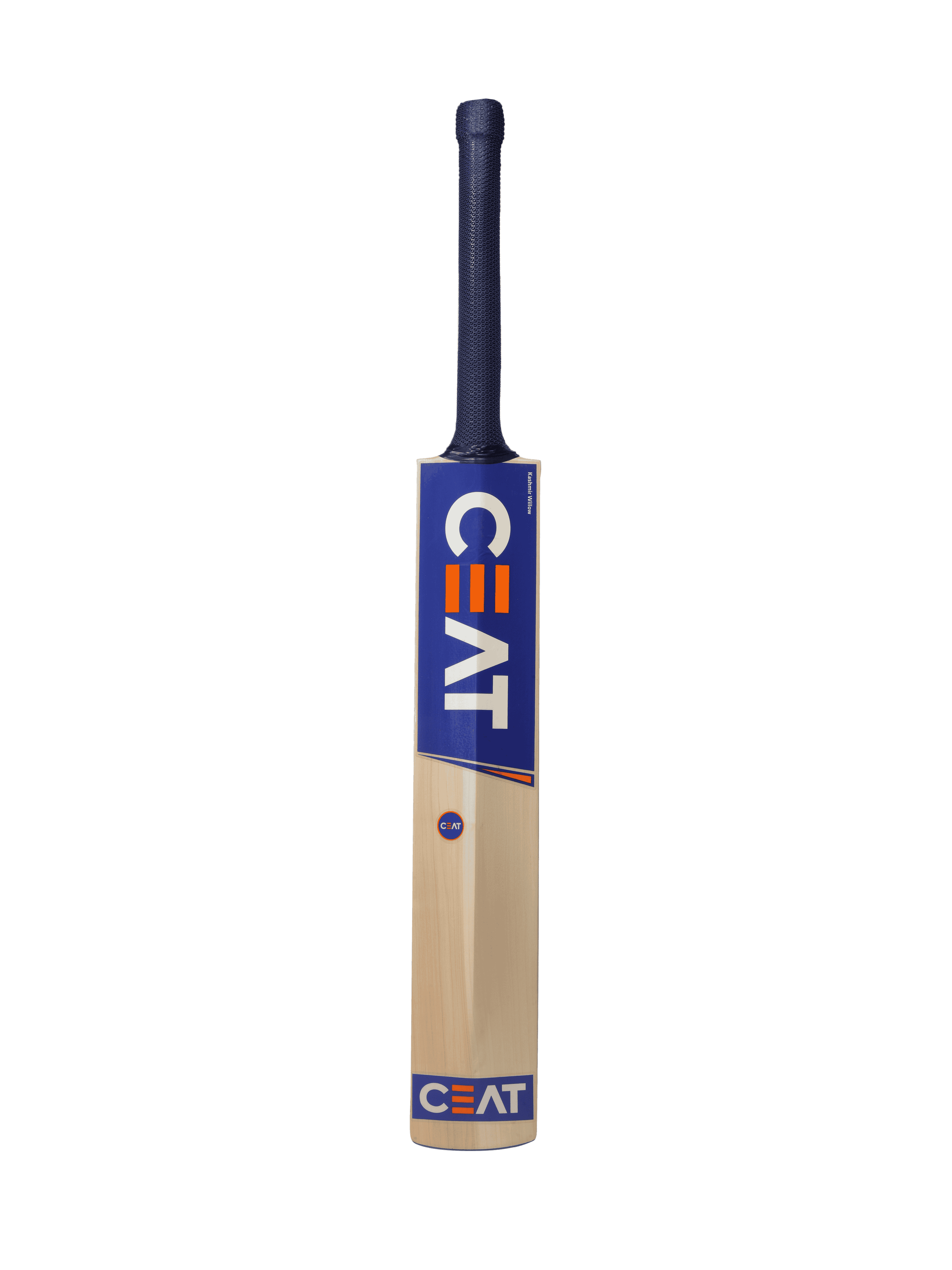 bat image