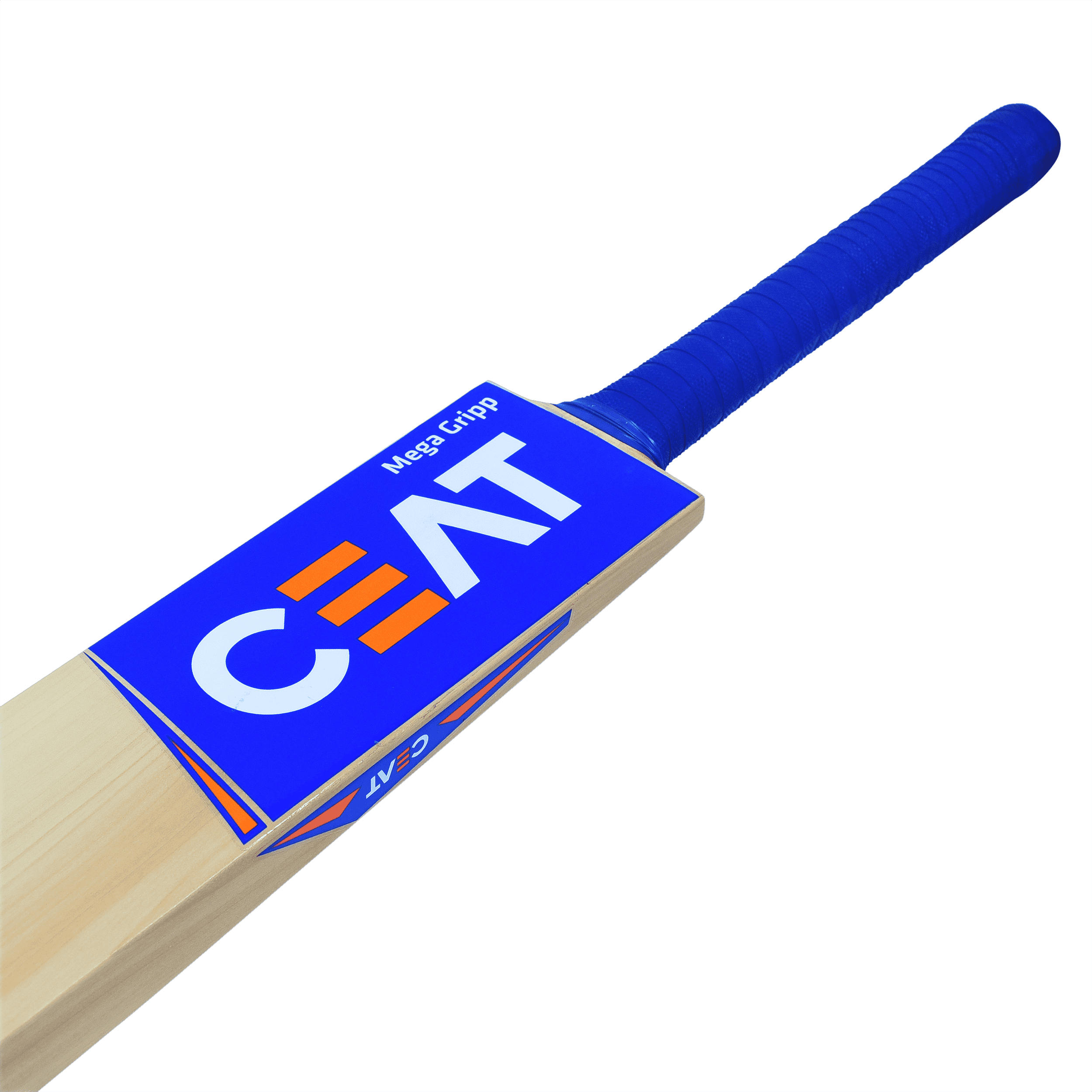 bat image