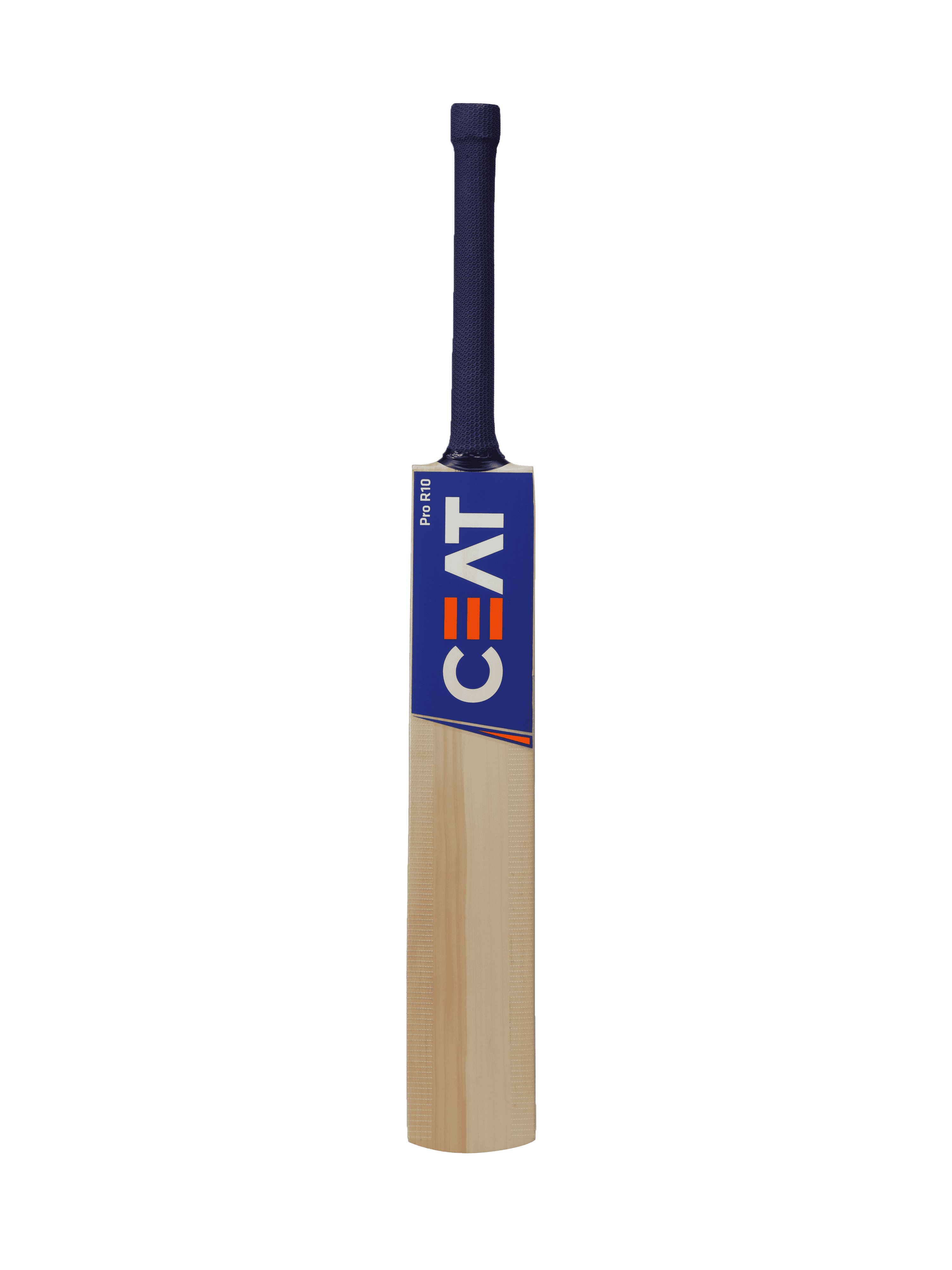bat image