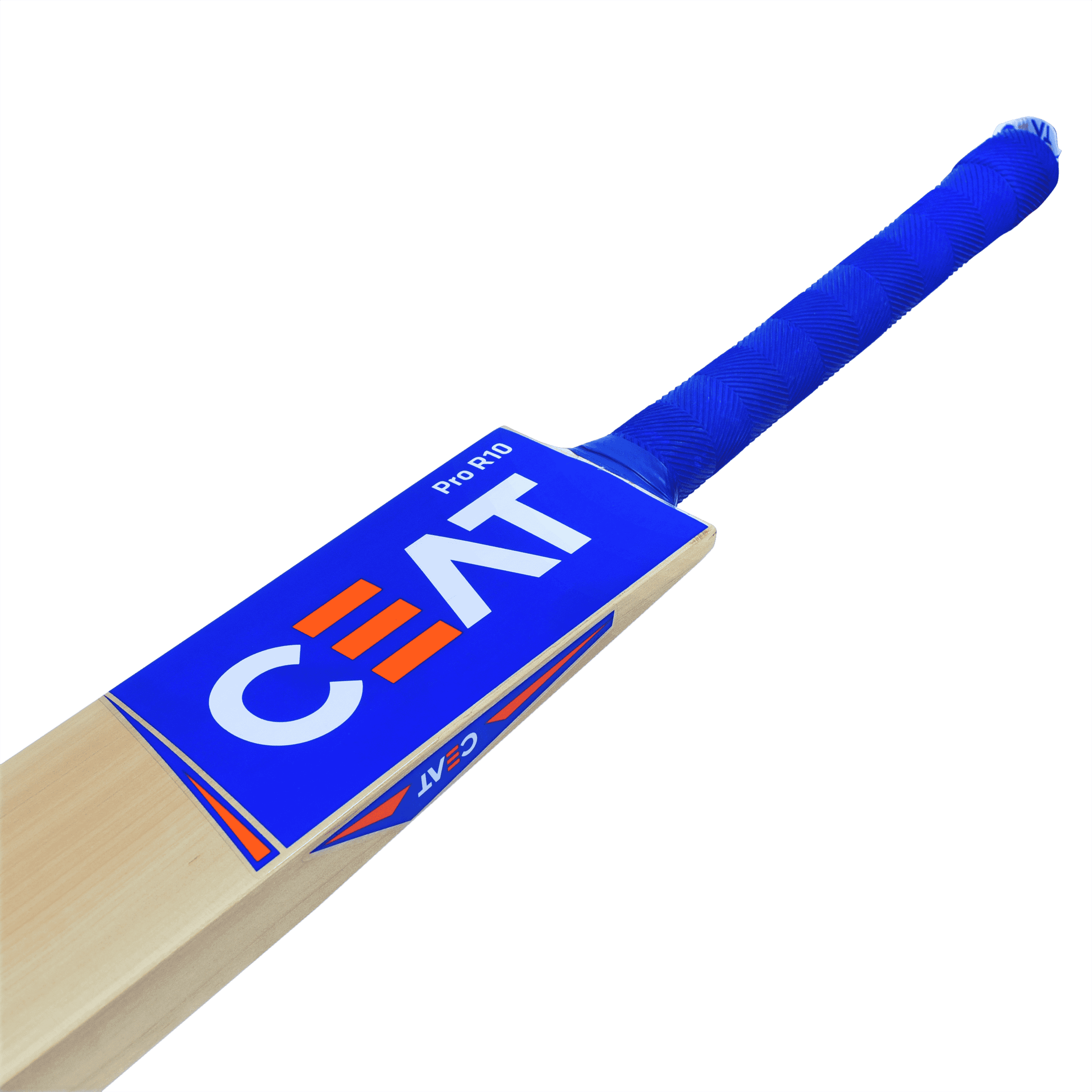 bat image