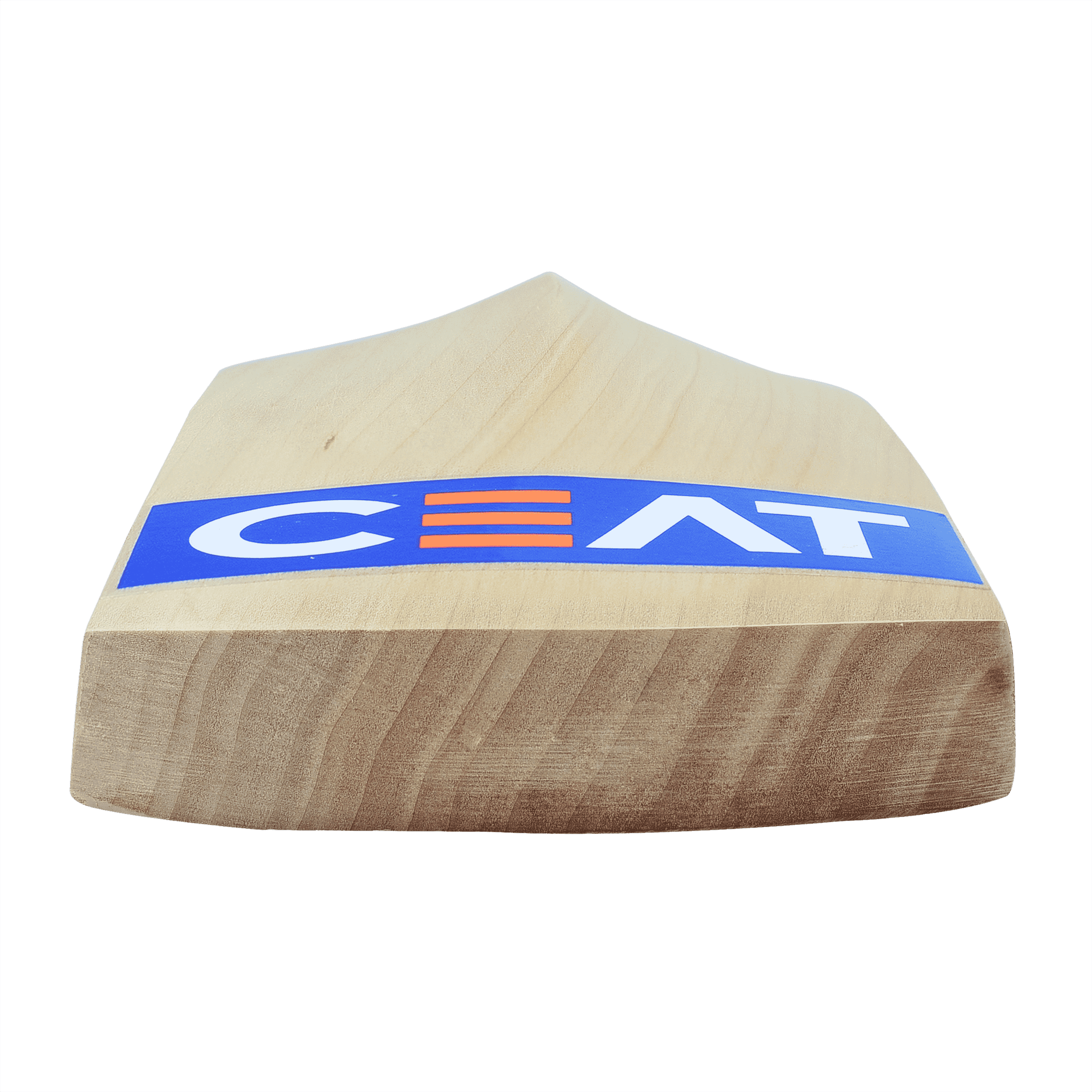 bat image