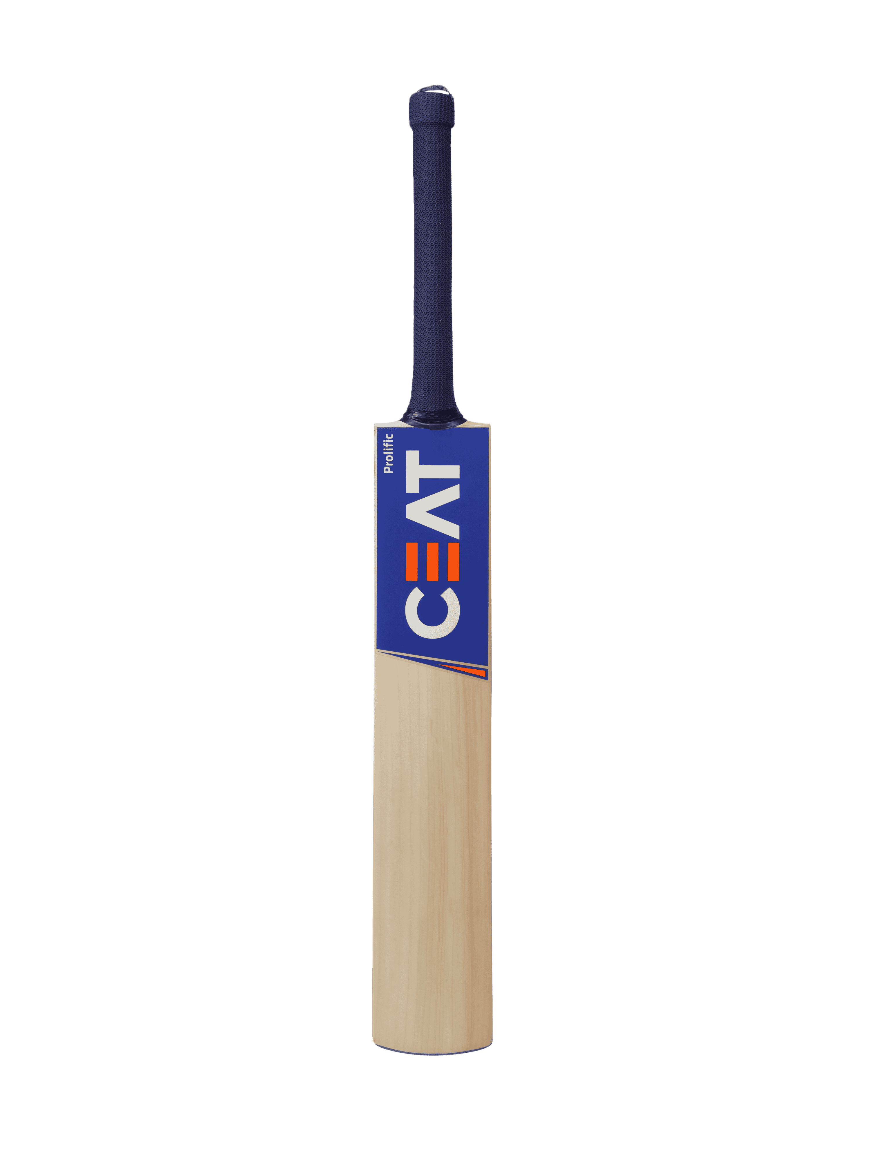 bat image