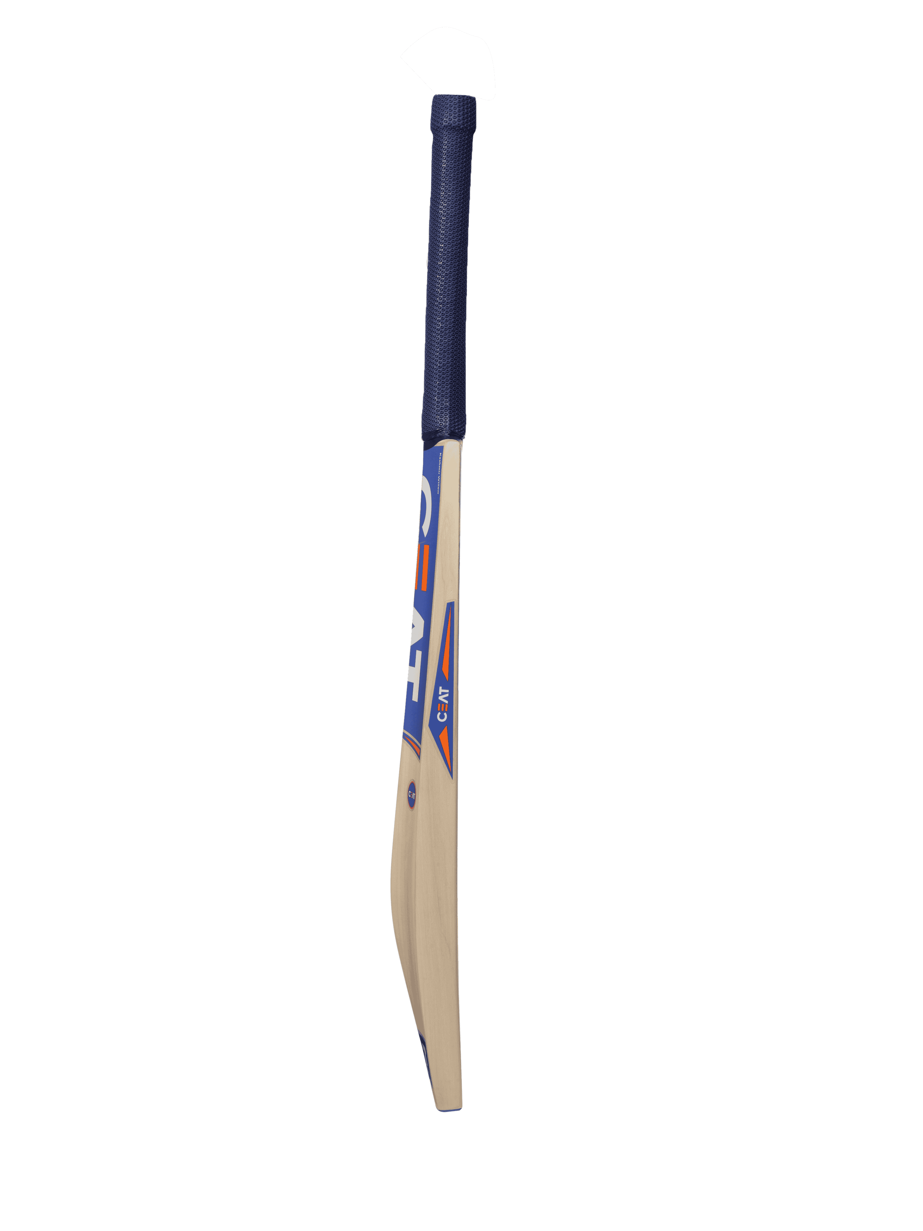 bat image
