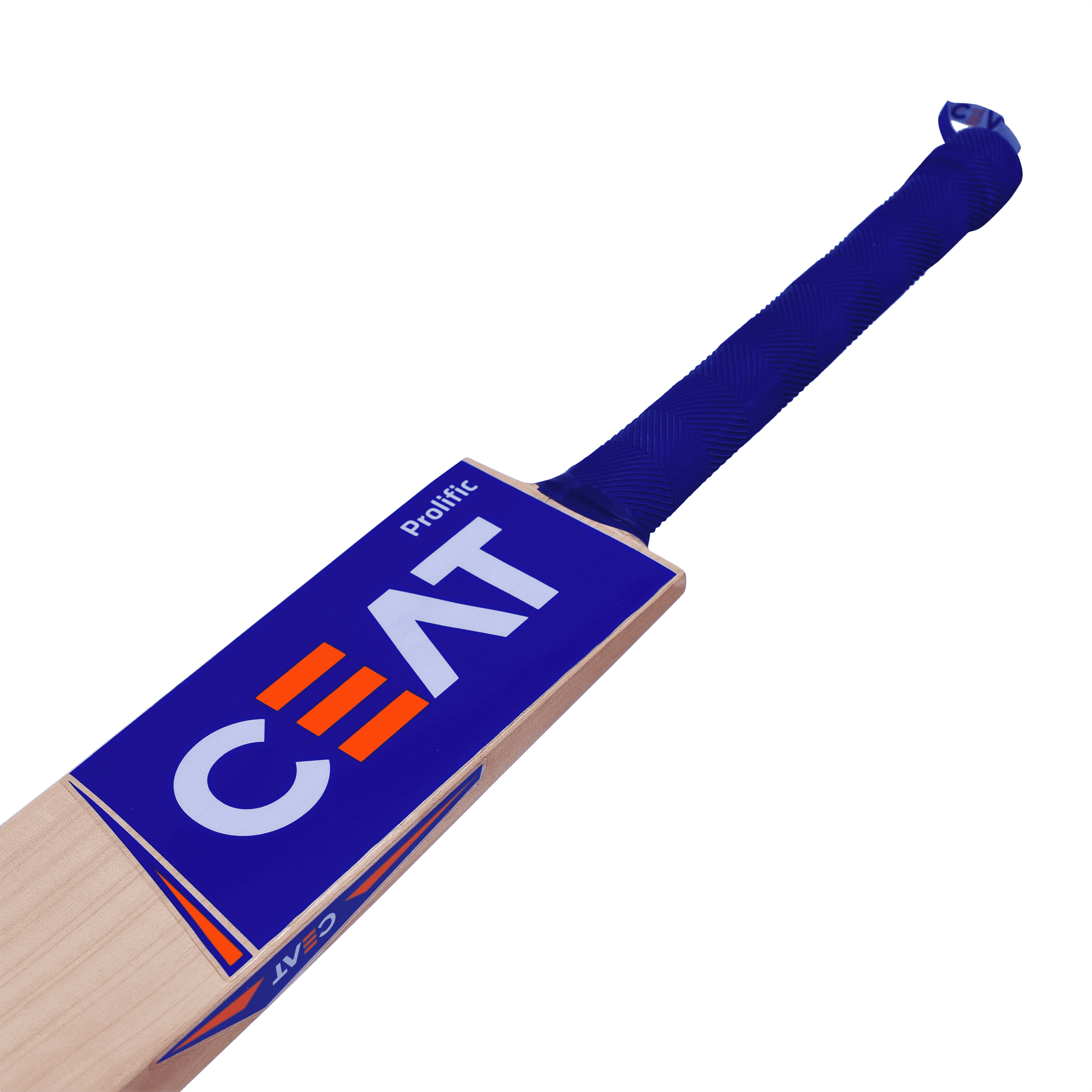 bat image
