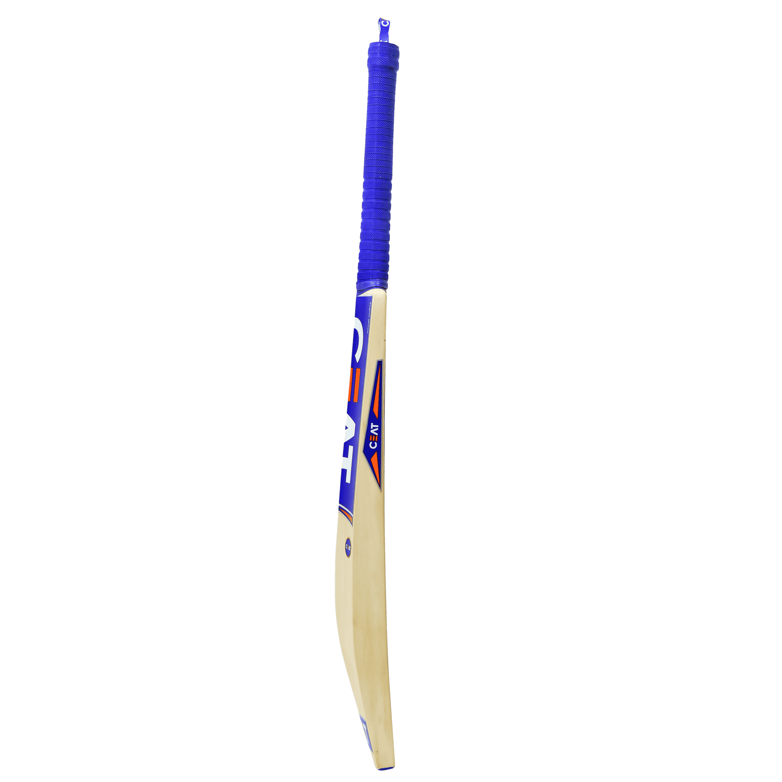 bat image