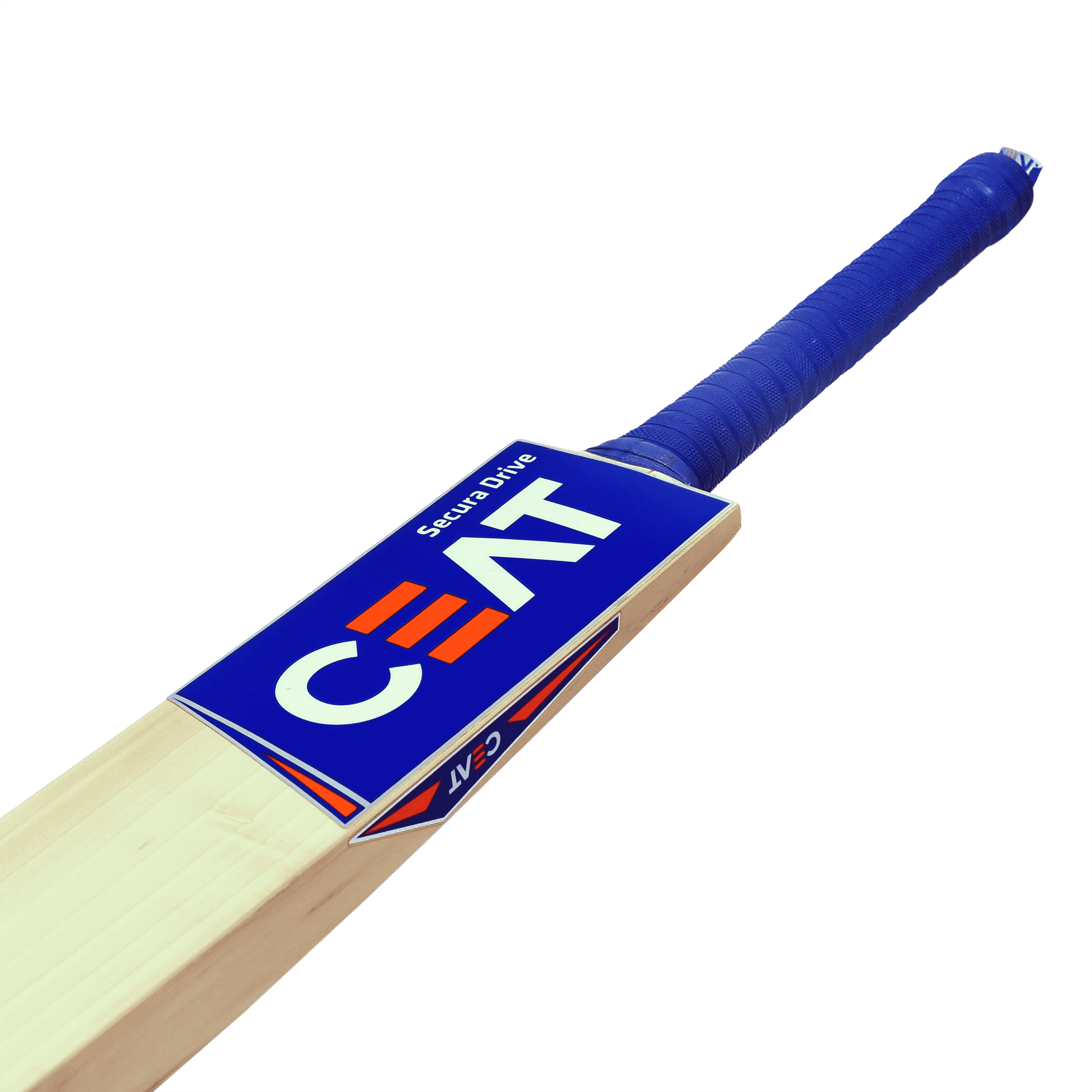 bat image