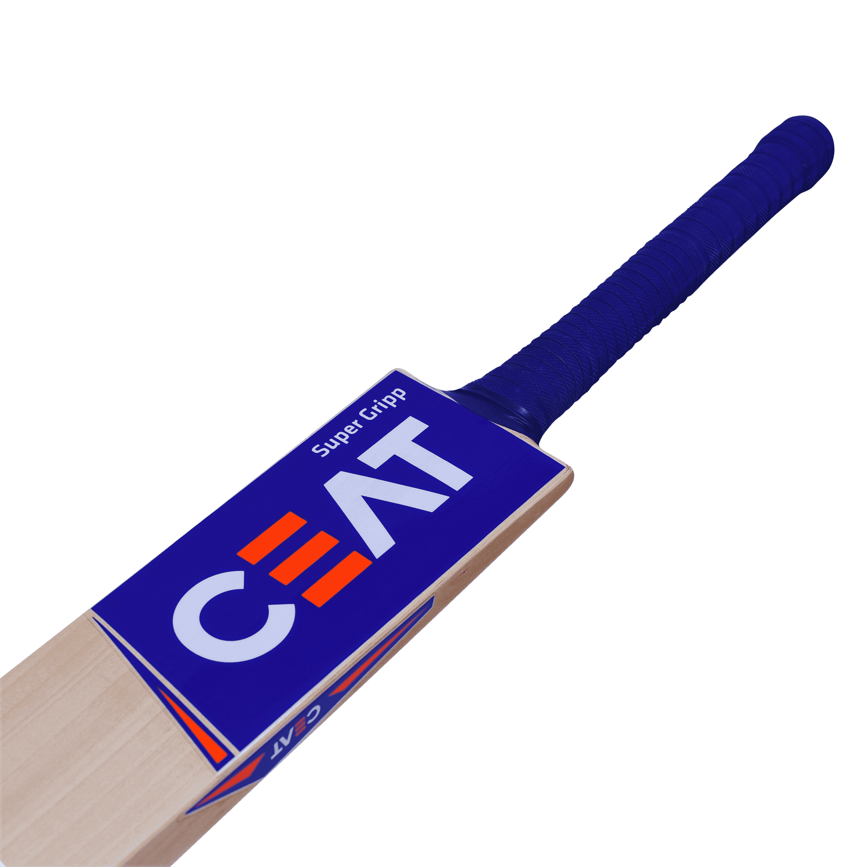 bat image