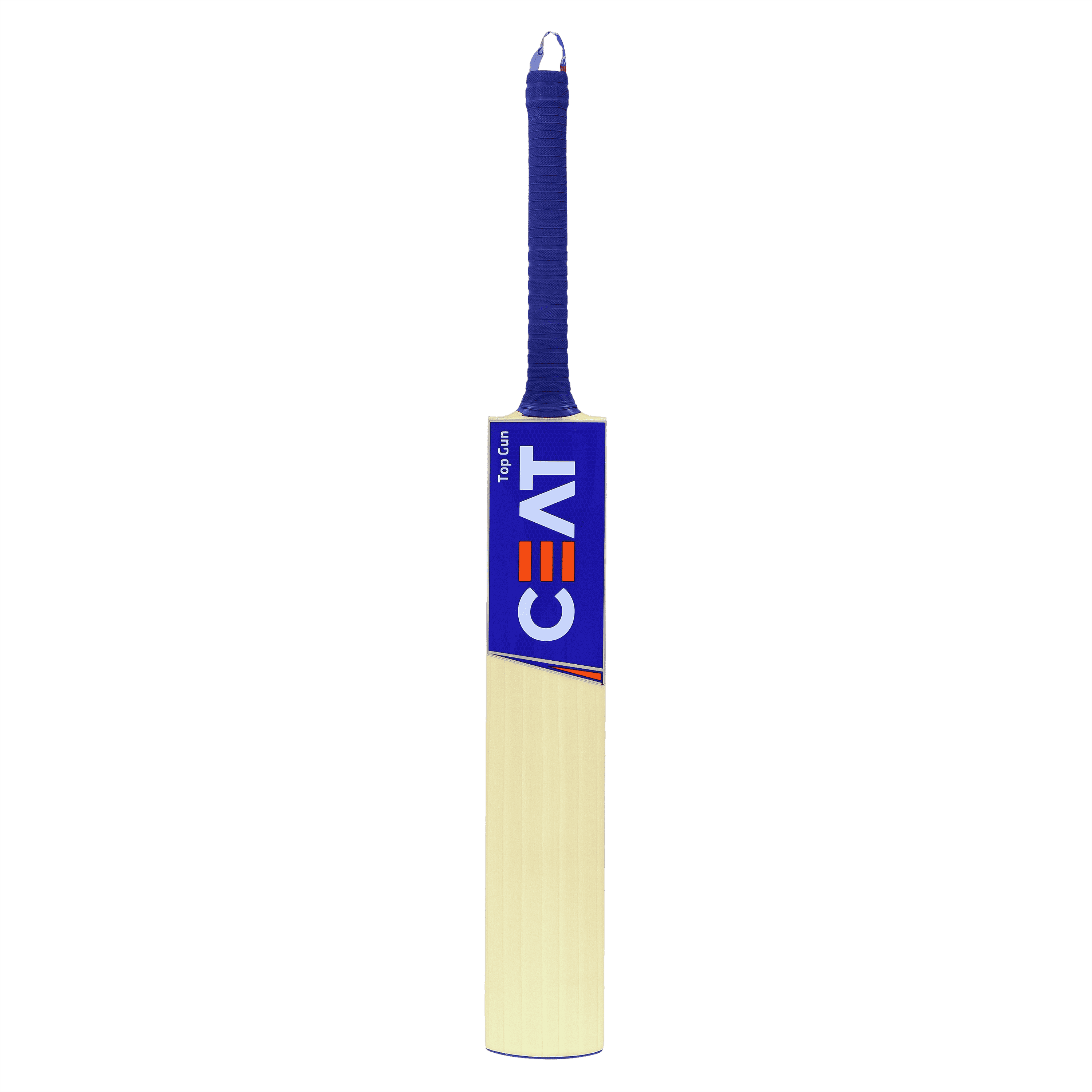 bat image