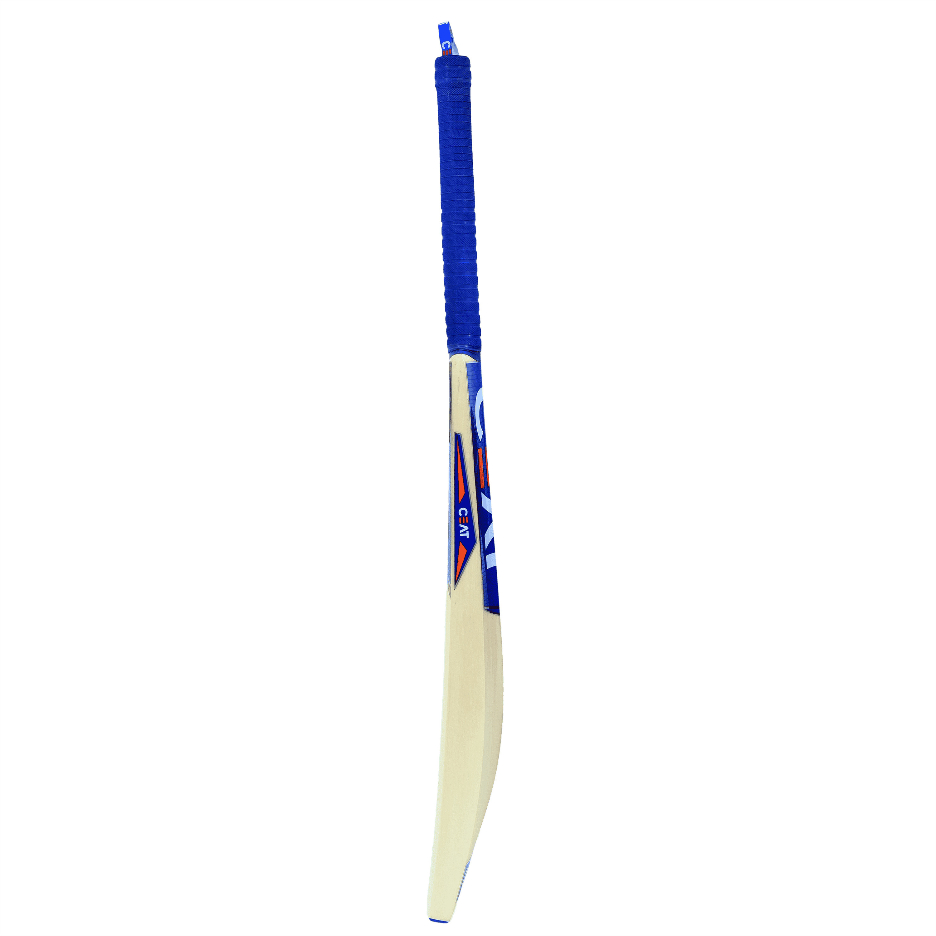 bat image