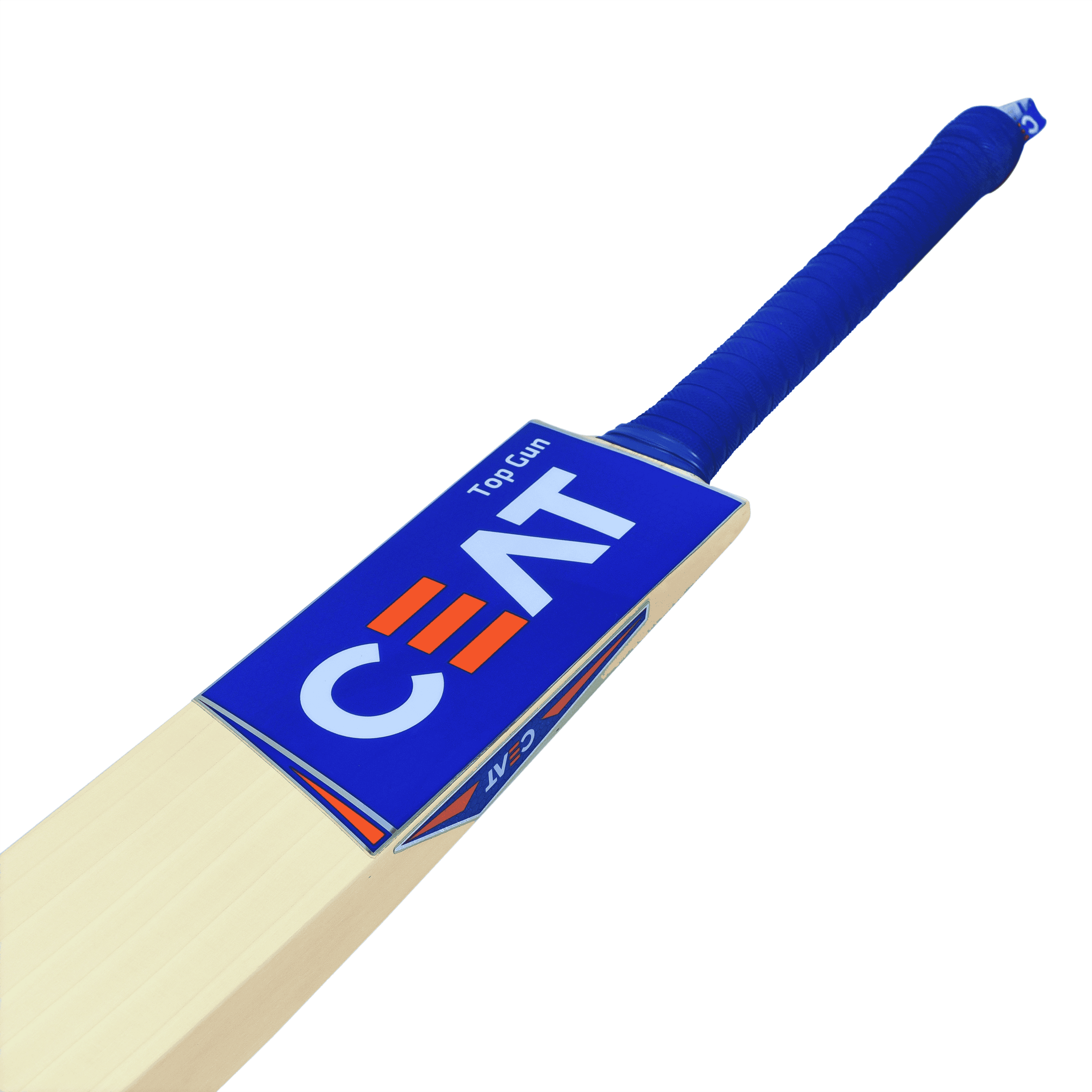bat image