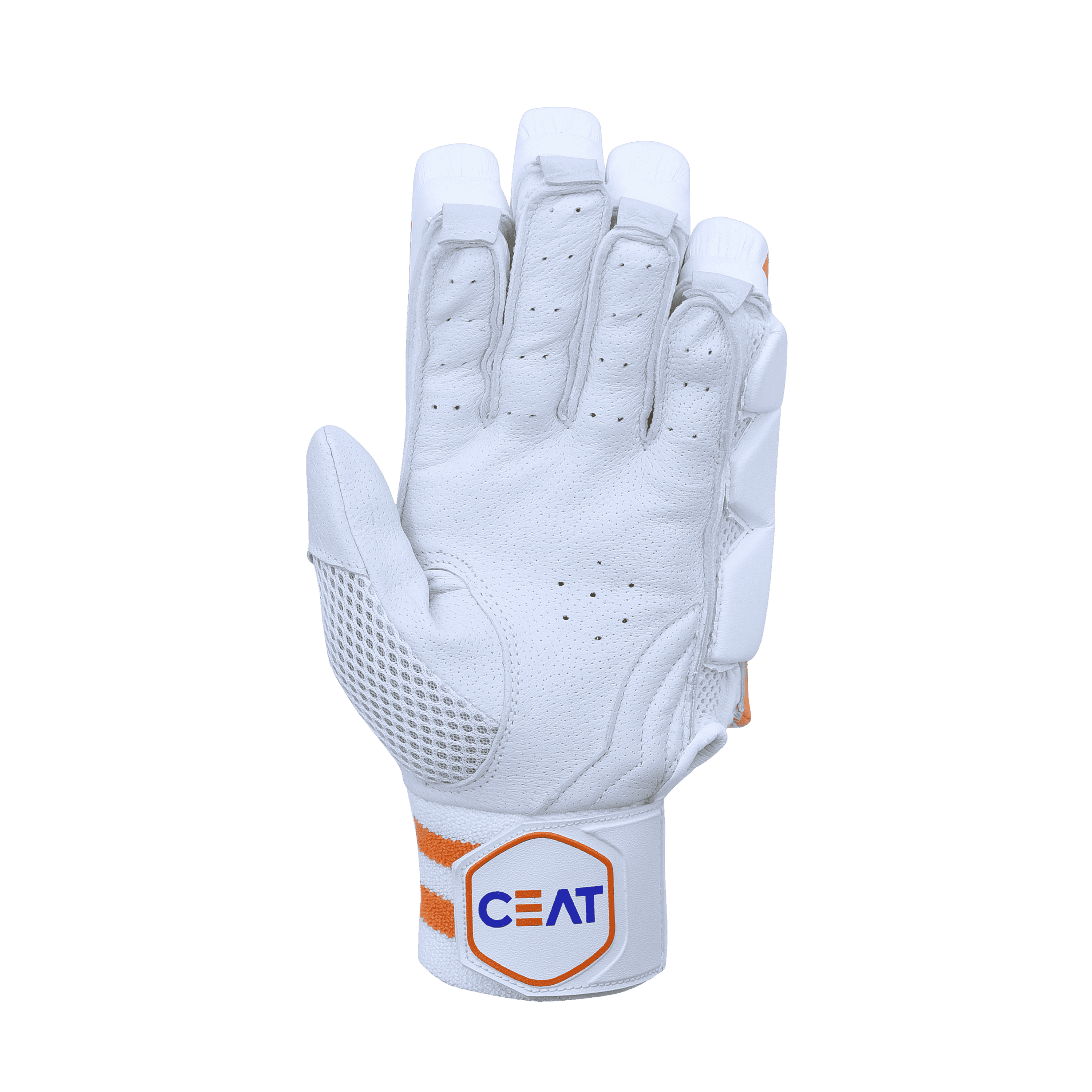 Cricket Product Details