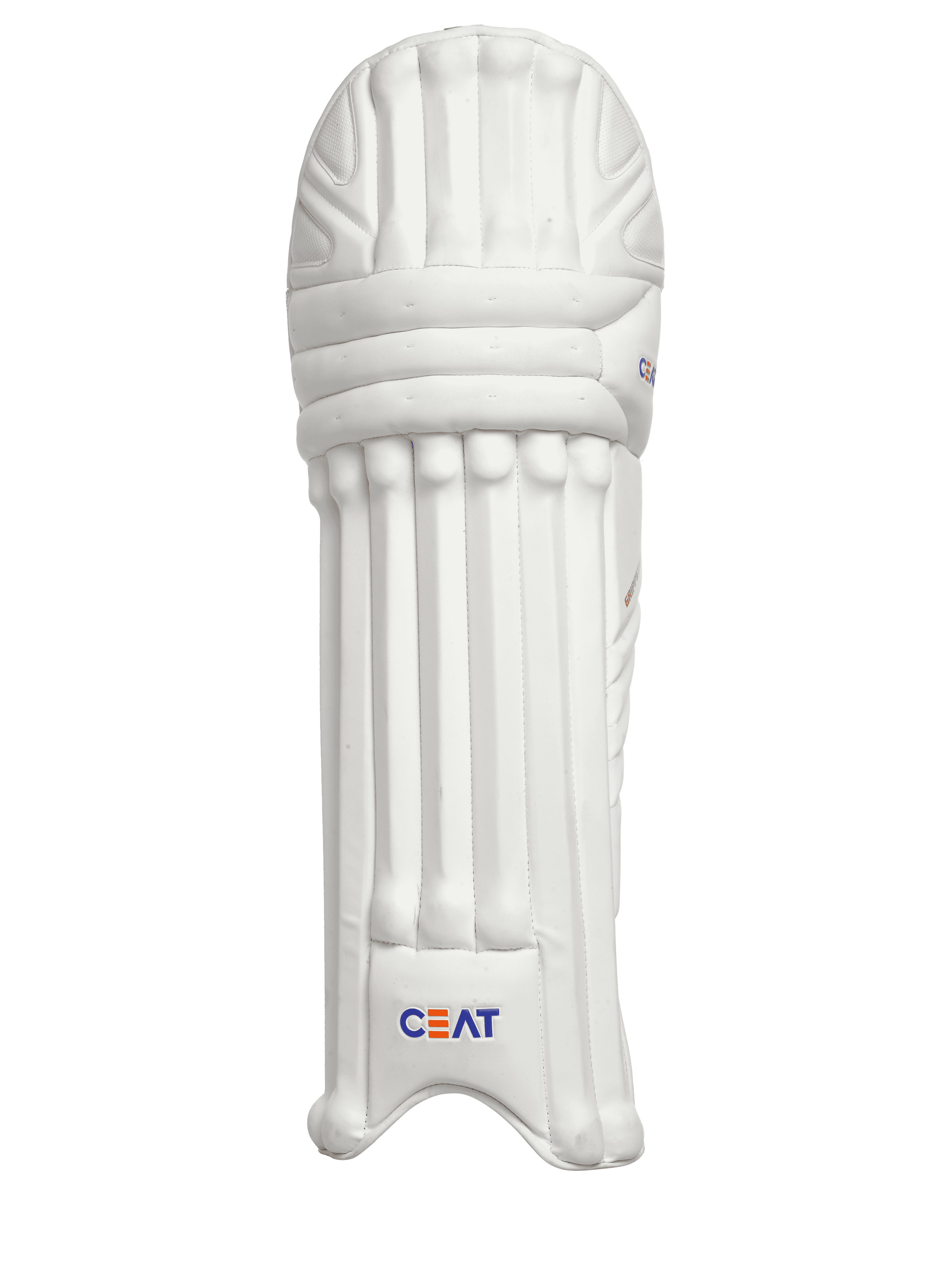 bat image
