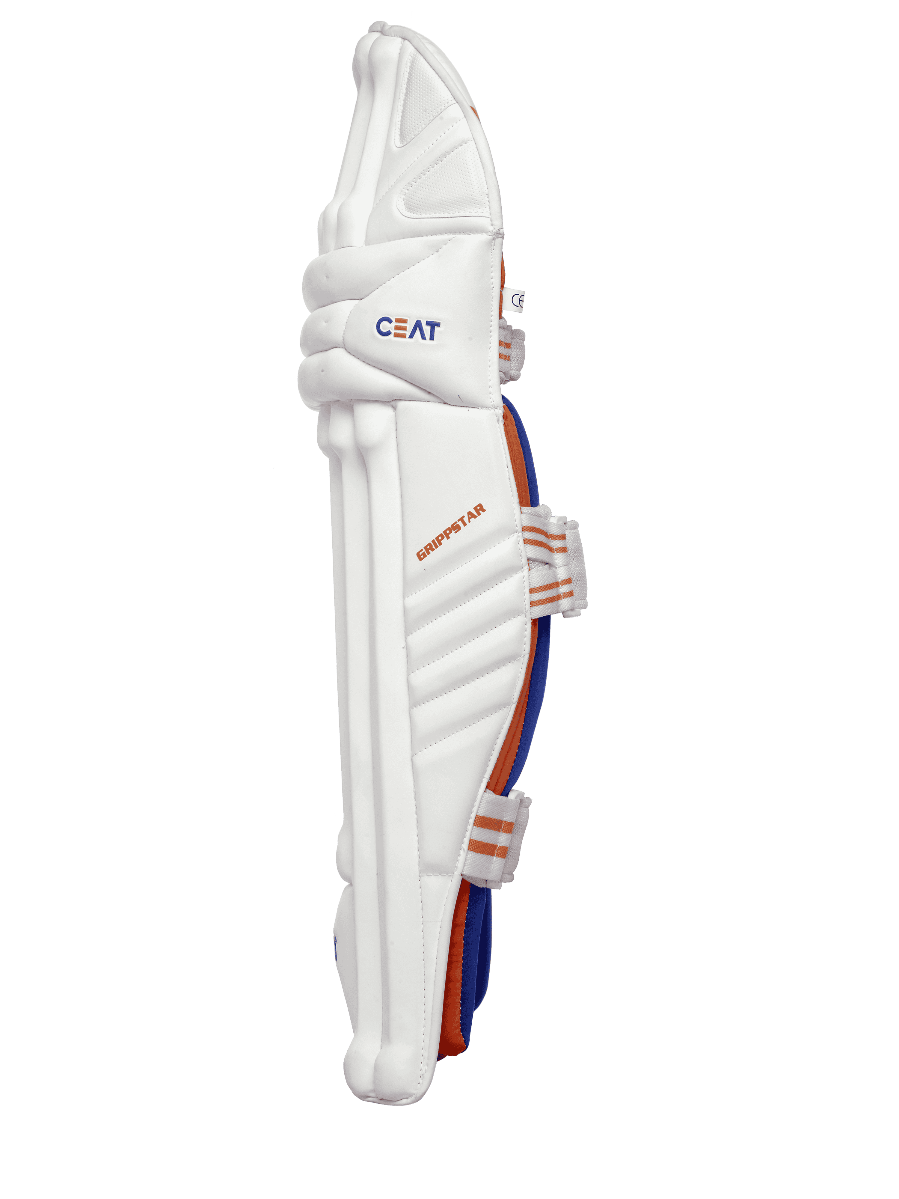 bat image