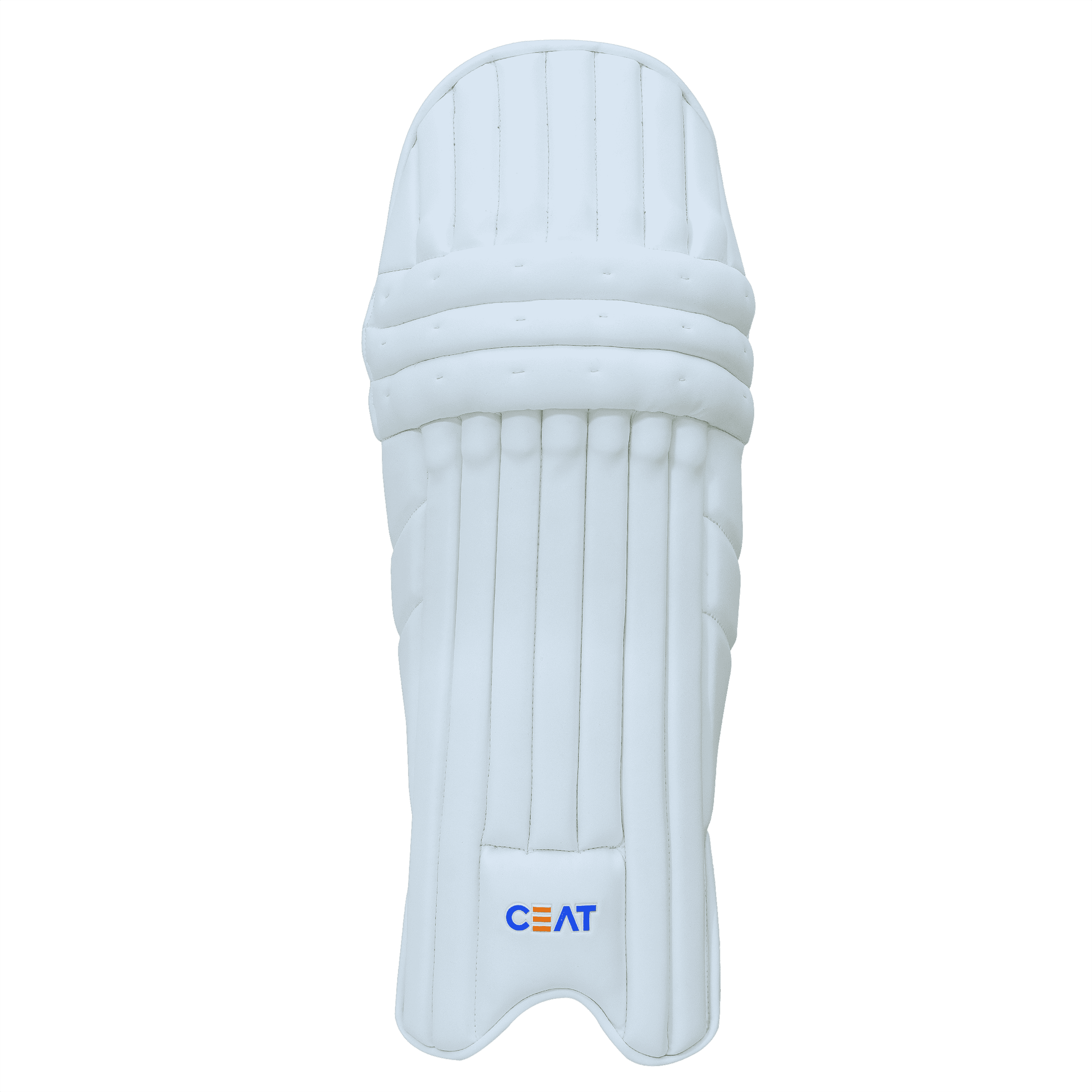 bat image