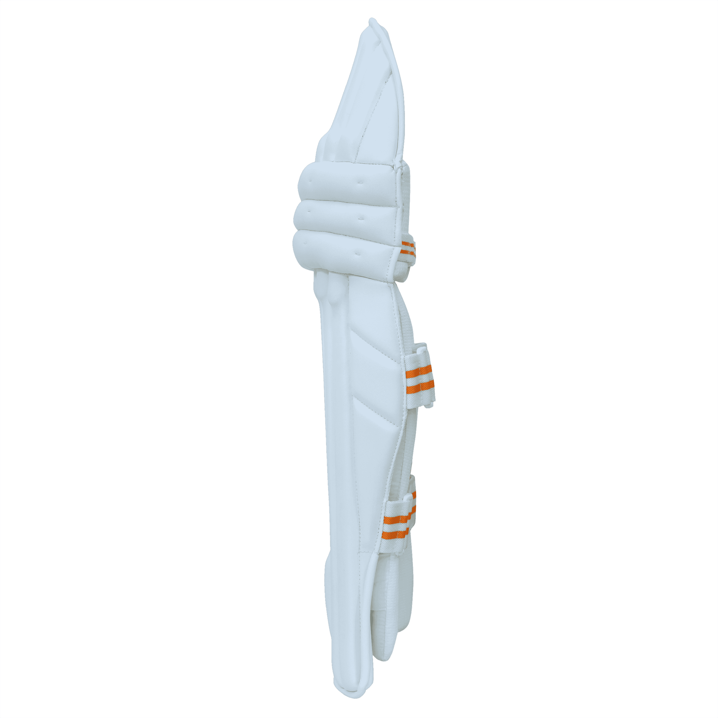 bat image